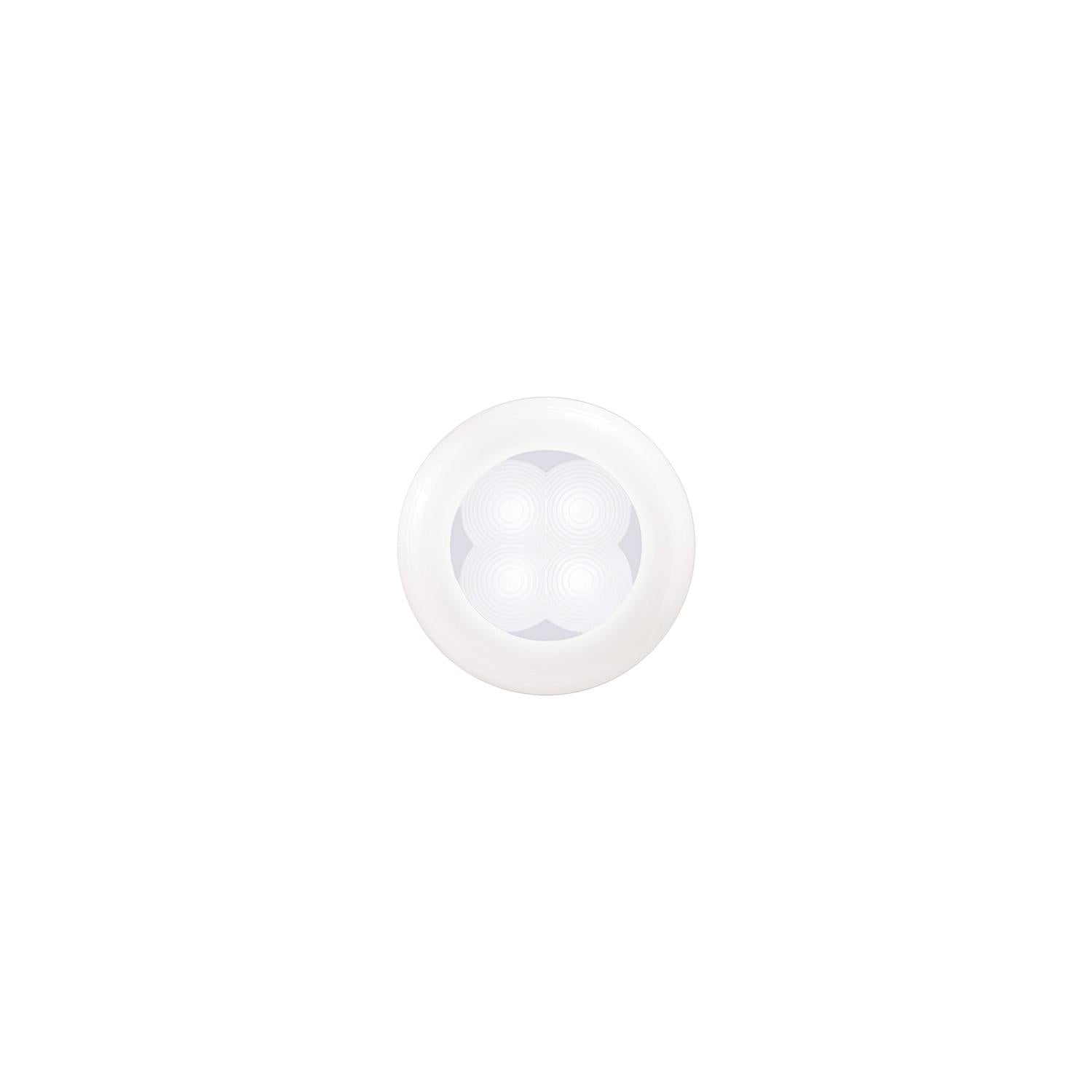 LED Light White w/White Bezel 12V