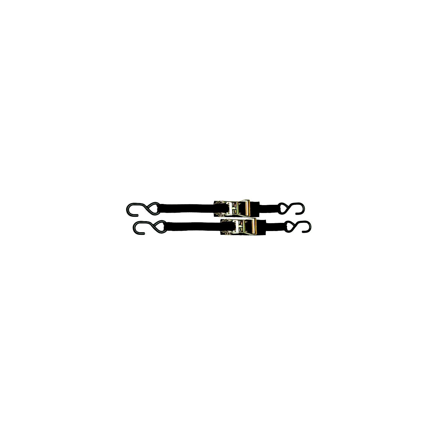 BoatBuckle Ratchet Transom/Utility Tie-Down 1" x 3.5' (2 Per Pack)