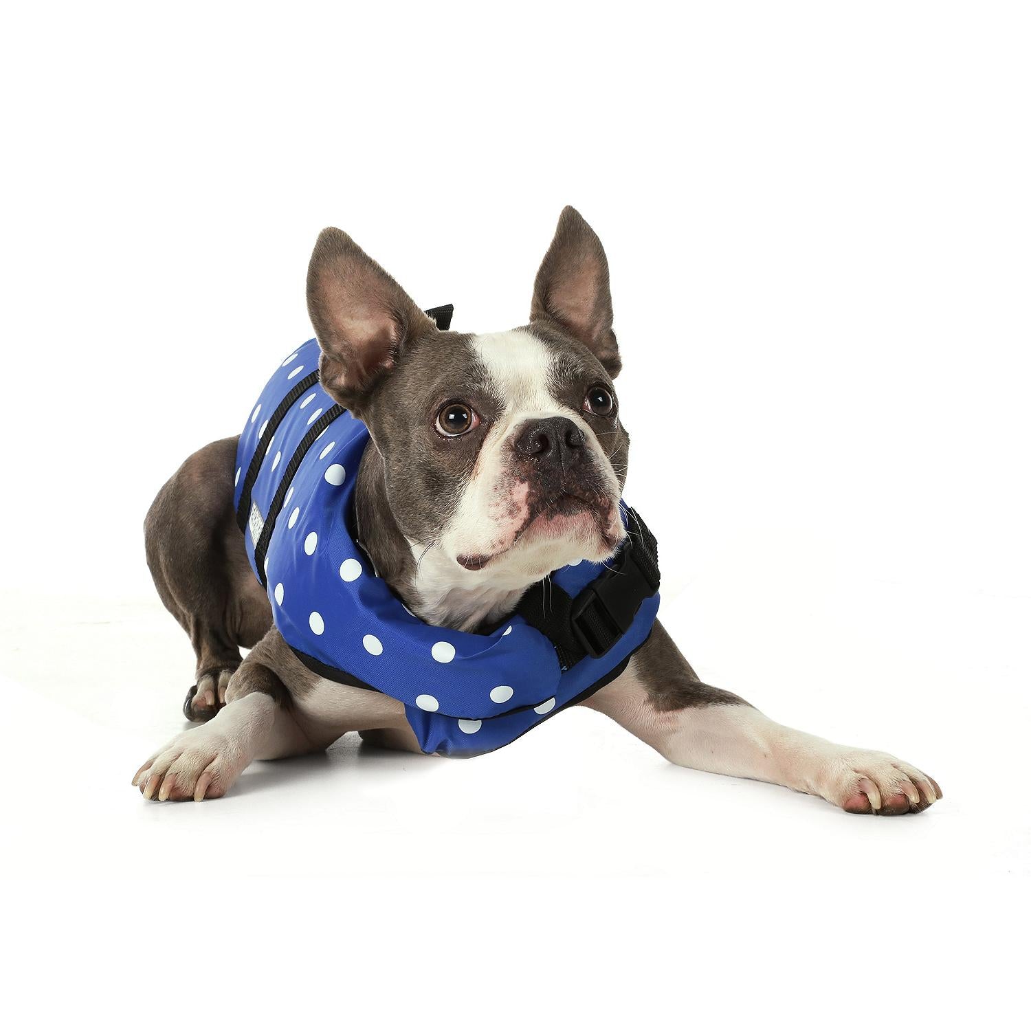 Seachoice 86280 Dog Life Vest - Blue Polka Dot, Sm